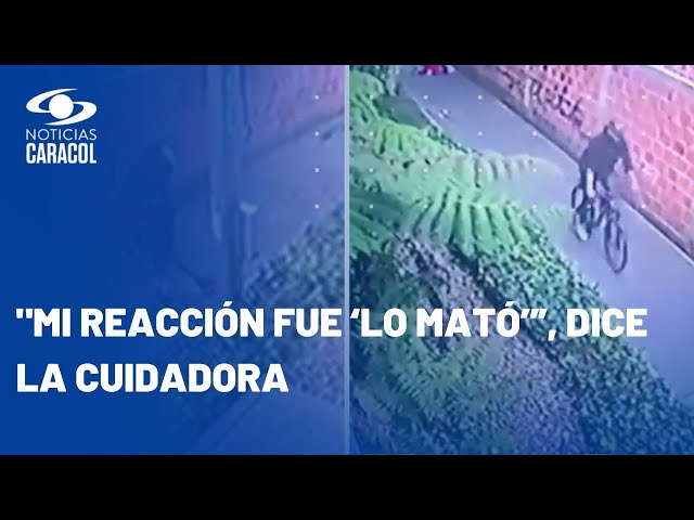 Desadaptado golpeó brutalmente a adulto mayor y su cuidadora en Bogotá: video