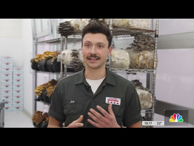 The Food Guy: Four Star Mushrooms