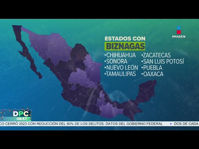 Poner acitrón a la rosca de reyes podría llevarte a prisión | DPC con Nacho Lozano