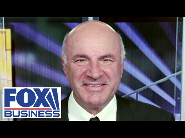 Kevin O'Leary: Market would love the Federal Reserve to do a series of cuts