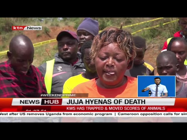 Community in Shock: 10-Year-Old Boy Killed in Terrifying Hyena Attack in Gwakigwi, Kiambu