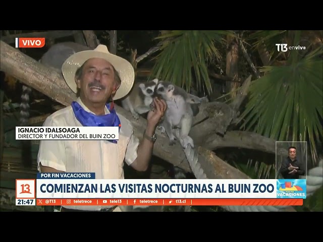 Vacaciones 2024: comienzan las visitas nocturnas al Buin Zoo