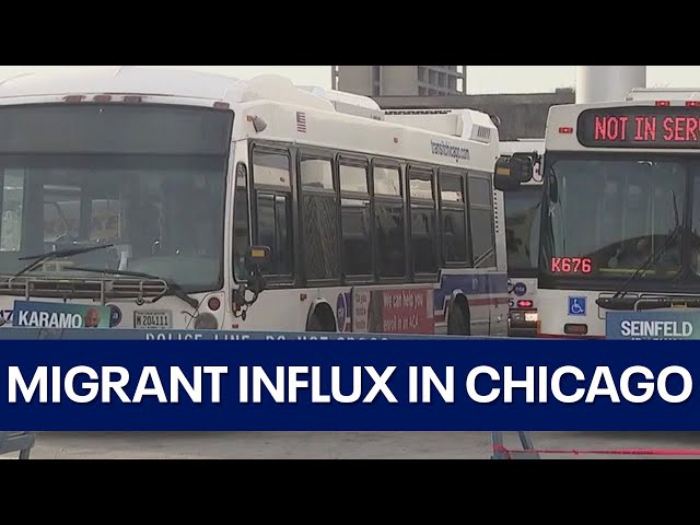 White House officials address migrant influx in Chicago