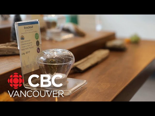 Vancouver's 1st legal cannabis shops mark 5 years of business -- and some say business isn'