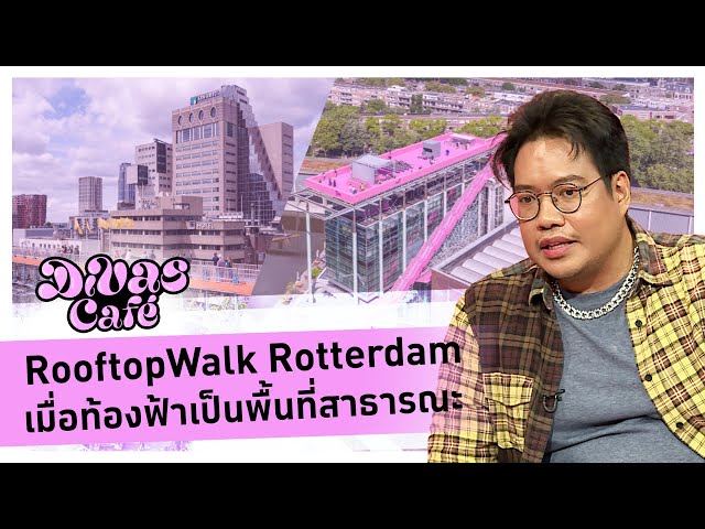 ⁣RooftopWalk Rotterdam เมื่อท้องฟ้าเป็นพื้นที่สาธารณะ #DivasCafe