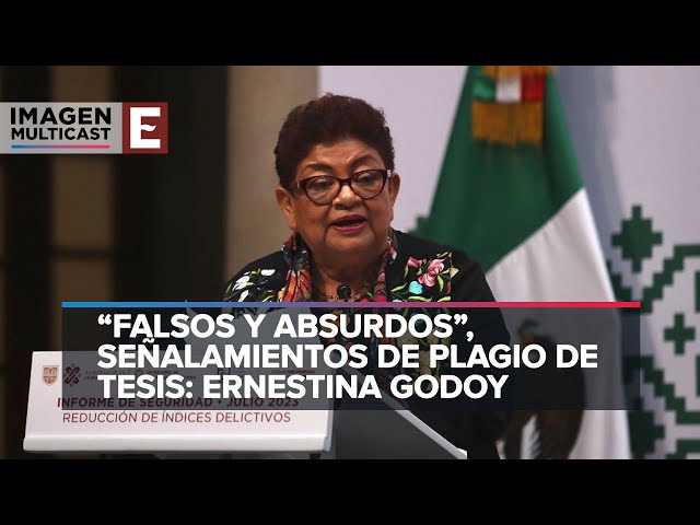 Polémica por una denuncia de plagio de la tesis de Ernestina Godoy