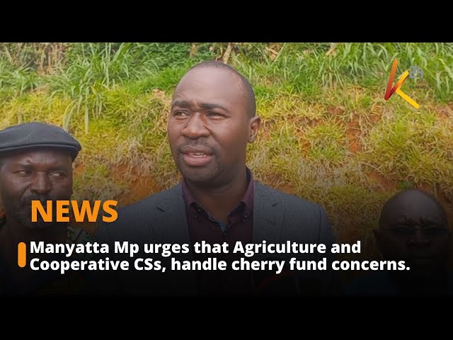 Manyatta Mp urges that Agriculture and Cooperative CSs handle cherry fund concerns.