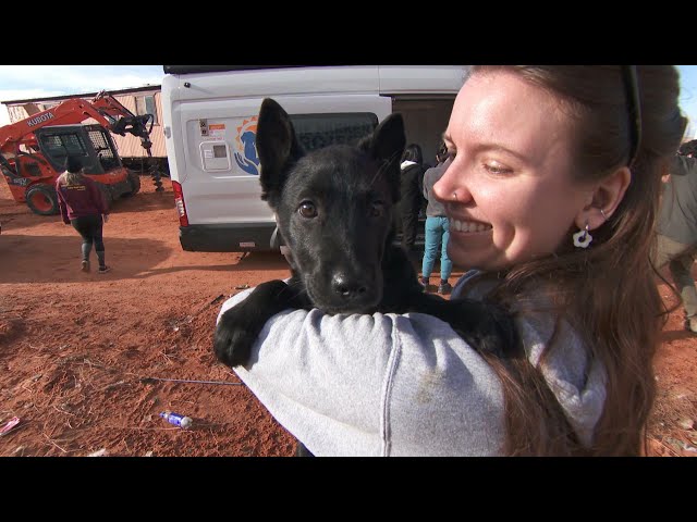 Volunteers work to reduce barriers to pet care in rural America