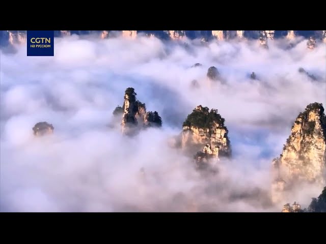 ⁣Окутанные облаками горы сняли в заповеднике Чжанцзяцзе на юго-востоке провинции Хунань