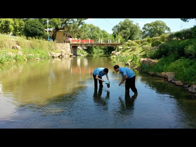 China builds preliminary ecological environment monitoring networks in 2023