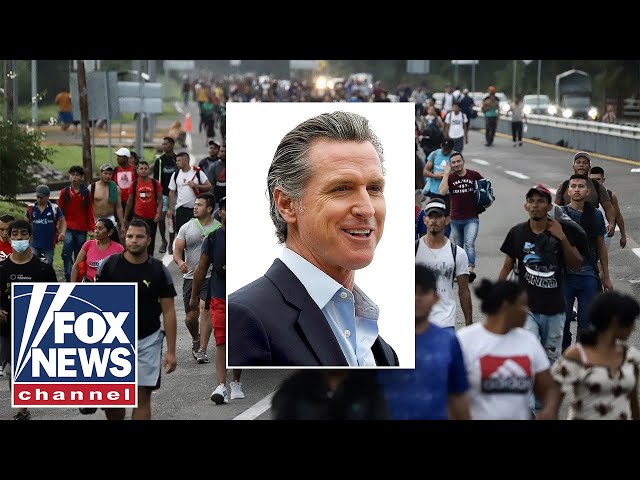 California's handout to migrants will have taxpayers 'on the hook': Chuck DeVore