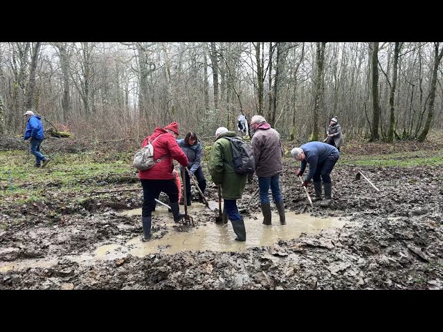 Chamouilley : des ornières recréés en forêt