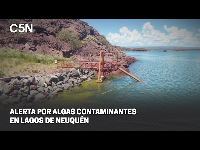 ALERTA por ALGAS CONTAMINANTES en LAGOS de NEUQUÉN