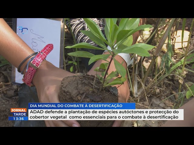 ADAD defende a plantação de espécies autóctones e proteção do cobertor vegetal