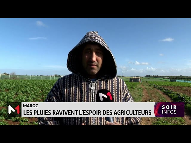 Les pluies ravivent l´espoir des agriculteurs