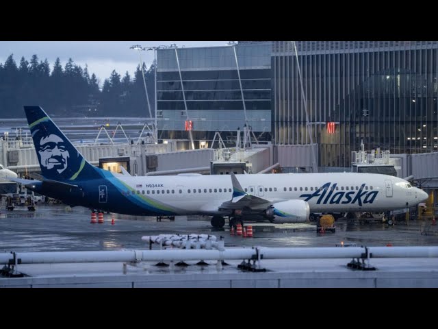 ‘Terrifying’: Boeing 737 Max planes grounded after section blows out mid-flight