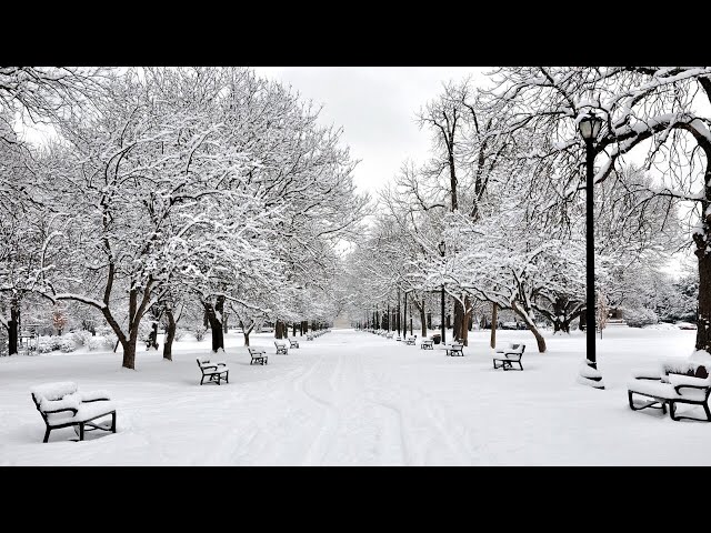 US East Coast preparing for first major snowfall of 2024