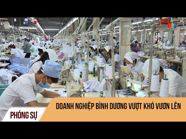 Doanh nghiệp Bình Dương vượt khó vươn lên