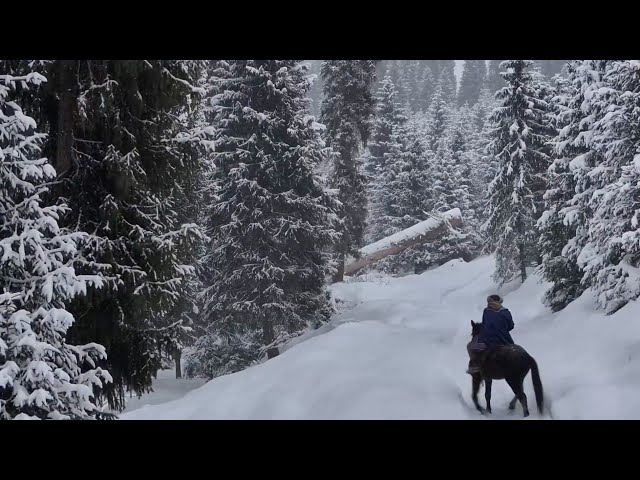 Winter activities featuring local Xinjiang culture attract tourists