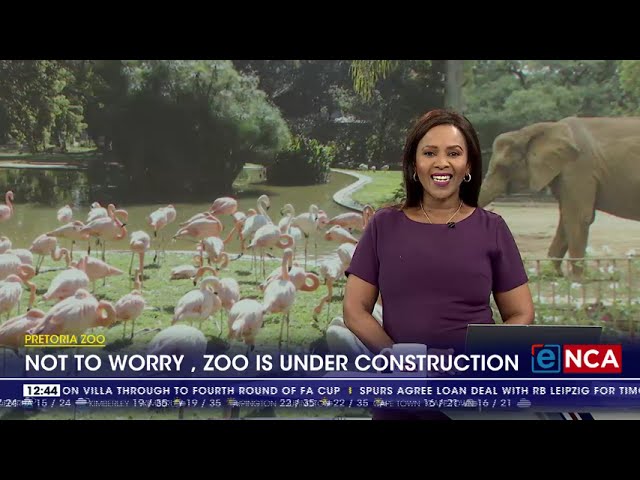 Pretoria Zoo in a poor state, with fewer animals