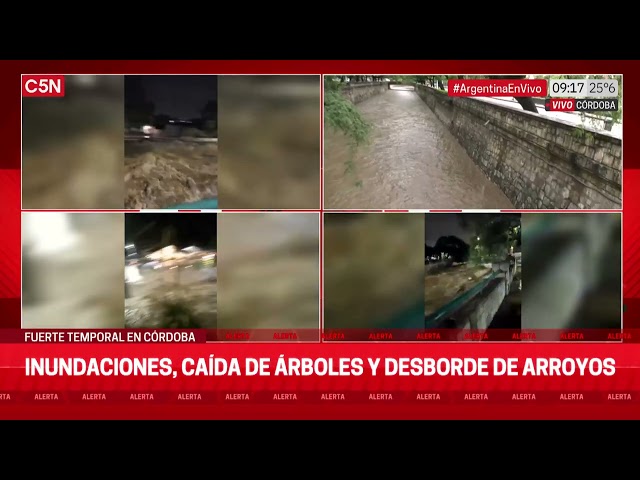 El DÍA DESPUÉS del TEMPORAL en CÓRDOBA: INUNDACIONES y ÁRBOLES CAÍDOS