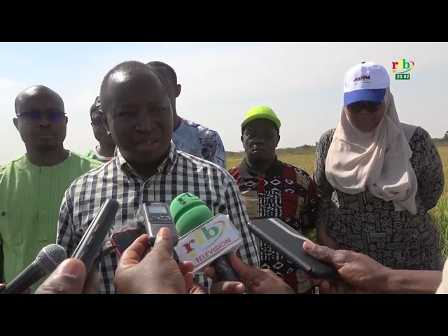 ⁣Les ministres participent à la récolte du riz dans les champs écoles à Bagré