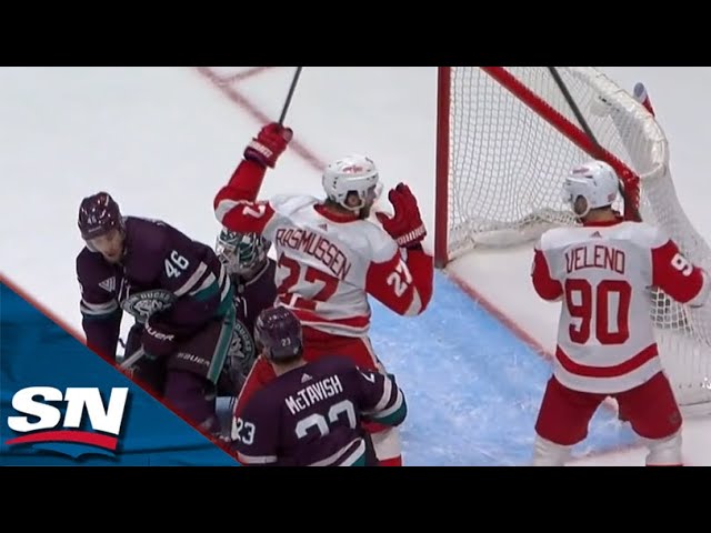 Red Wings' Michael Rasmussen Redirects Home Late-Game Go-Ahead Goal vs. Ducks