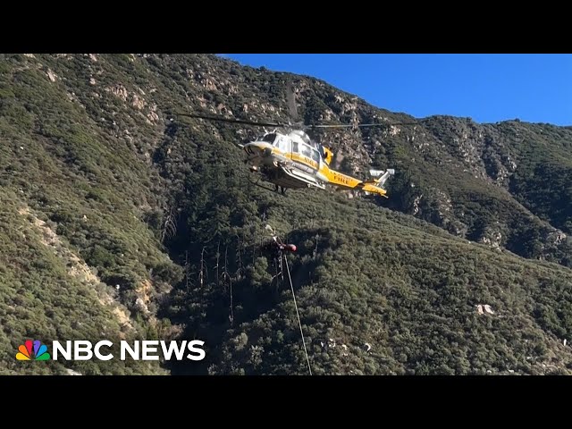 Woman trapped in car for days after falling down steep hillside rescued