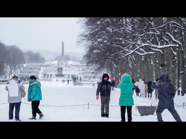 موجة برد شديدة وثلوج قادمة من روسيا تجتاح فرنسا وعدة دول أوروبية • فرانس 24 / FRANCE 24