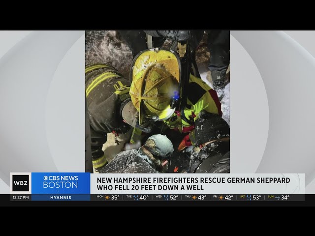 New Hampshire firefighters rescue German Shepherd that fell into well during storm