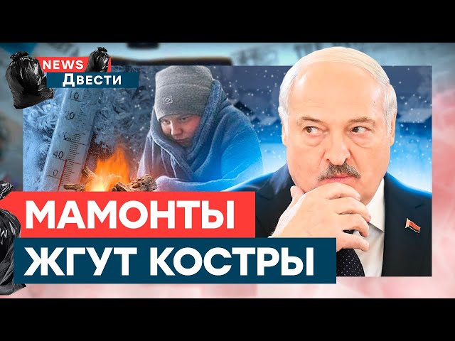 КИСЕЛЕВ за ЛГБТ, Подмосковье ЗАМЕРЗАЕТ, а ЛУКАШЕНКО… | News ДВЕСТИ