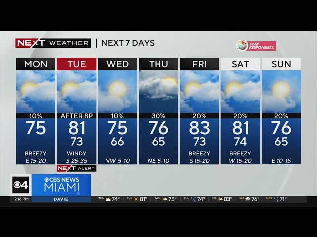 Miami Weather for Monday 1/8/2023 12PM