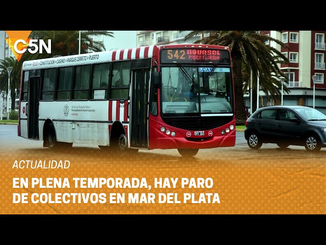 PARO de COLECTIVOS en MAR DEL PLATA en PLENA TEMPORADA