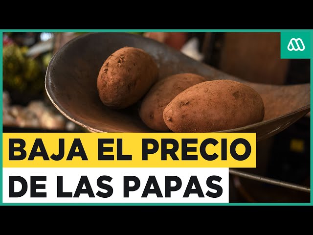 Baja el precio de la papa: INE informa una disminución del IPC y la inflación en Chile