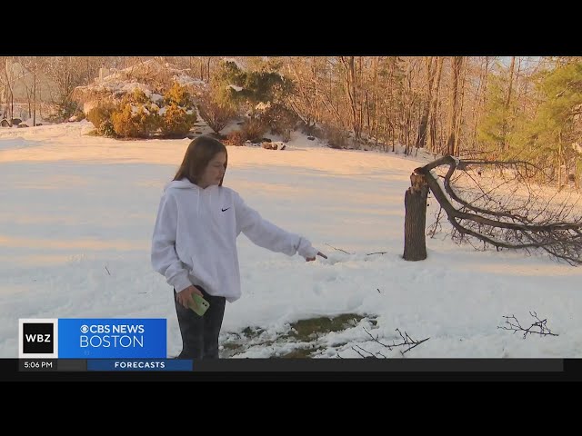 10-year-old girl hurt by falling tree at Hudson school bus stop