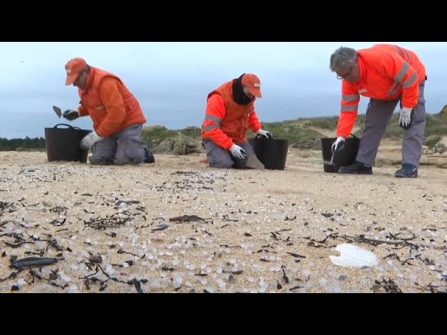 Organizaciones ecologistas demandan más medios ante la llegada masiva de 'pellets' a Galic