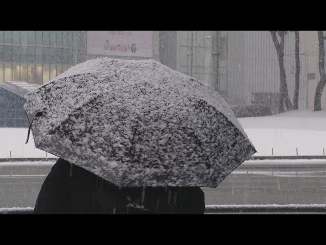 오늘~내일 많은 눈…"대중교통 이용하고, 빙판길 감속해야" / 연합뉴스TV (YonhapnewsTV)