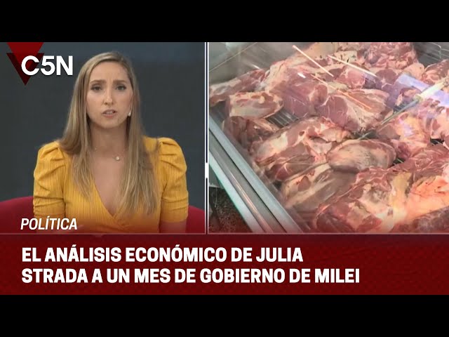 El ANÁLISIS ECONÓMICO de JULIA STRADA a un MES de GOBIERNO de MILEI