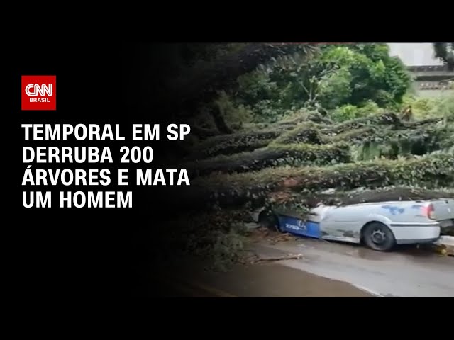 Temporal em SP derruba 200 árvores e mata um homem | CNN PRIME TIME