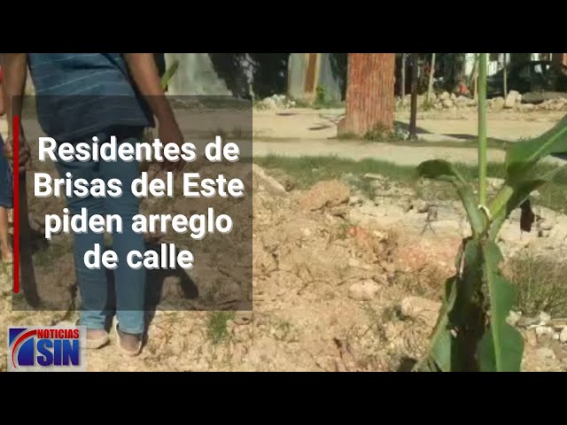 Residentes de Brisas del Este piden arreglo de calle