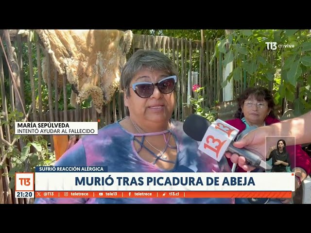 Murió tras picadura de abeja: Llaman a tomar medidas rápidas ante signos de reacción alérgica