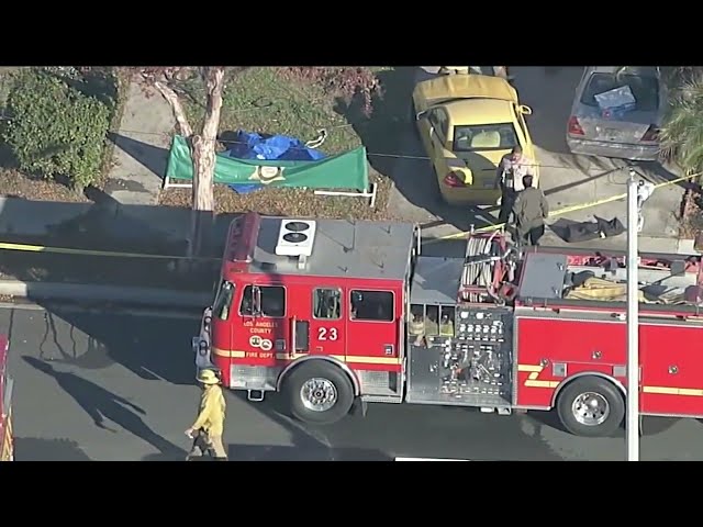 ⁣Devastating house fire in Bellflower kills 80-year-old woman, her 7 dogs