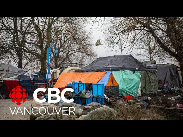 Advocates call for tiny homes in Vancouver’s CRAB Park