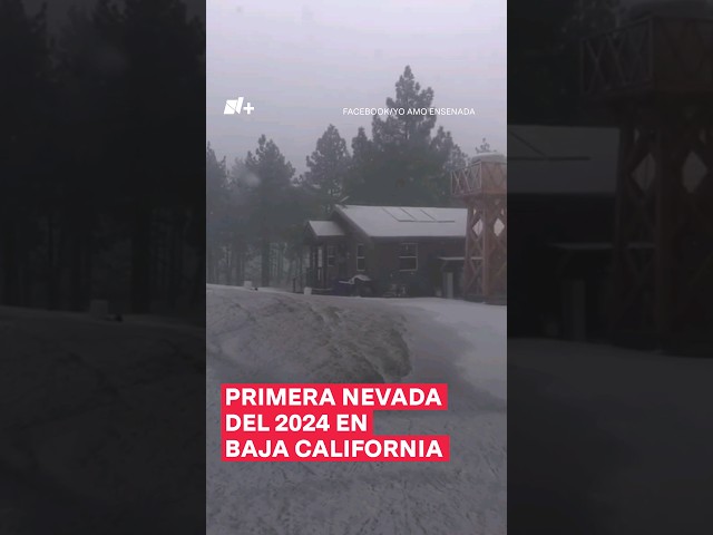 Así fue la primera nevada del 2024 en Baja California - N+ #Shorts