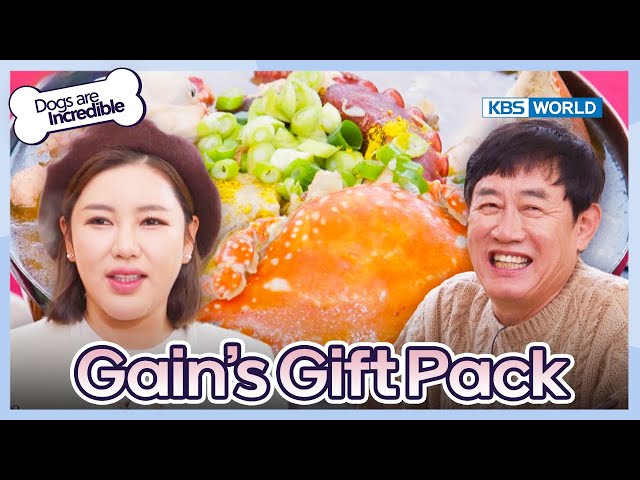 Gain’s Gift Pack  [Dogs are incredible : EP.201-3] | KBS WORLD TV 240109