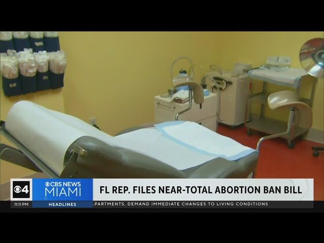 Miami-Dade Florida House Representative files bill banning virtually all abortions