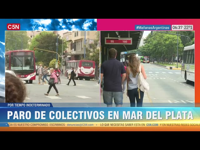 PARO de COLECTIVOS en MAR deL PLATA: VARIAS LÍNEAS AFECTADAS