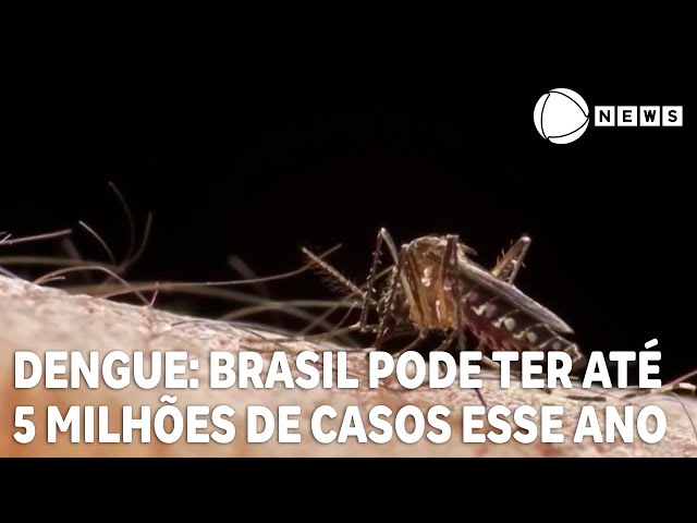 Brasil pode ter até 5 milhões de casos de dengue em 2024