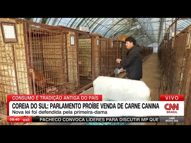 ⁣Coreia do Sul aprova projeto de lei que proíbe venda de carne de cachorro | CNN NOVO DIA