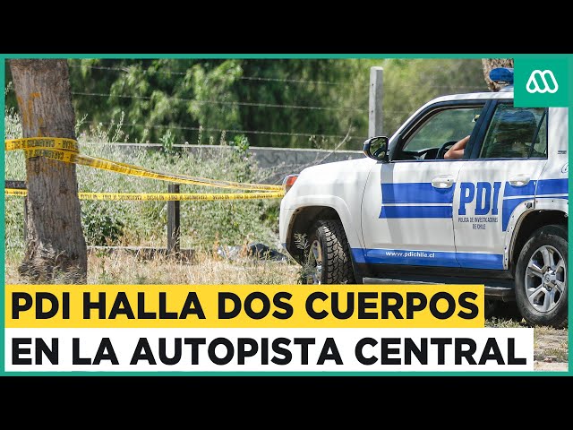 Encuentran dos cuerpos al costado de la carretera: PDI investiga el hallazgo en la Autopista Central